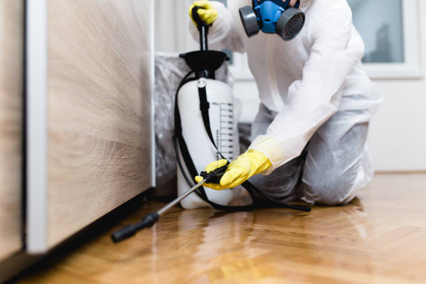 Reliable Albany, IN Pest Control Solutions