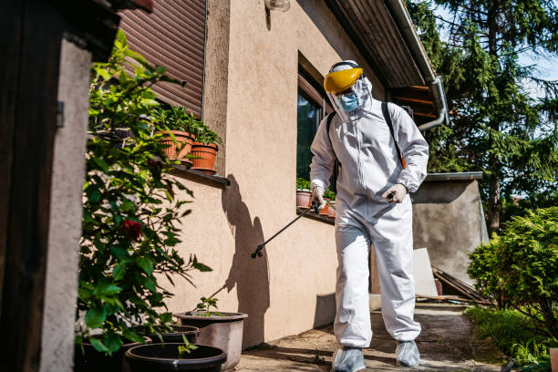 Best Pest Control for Homes  in Albany, IN
