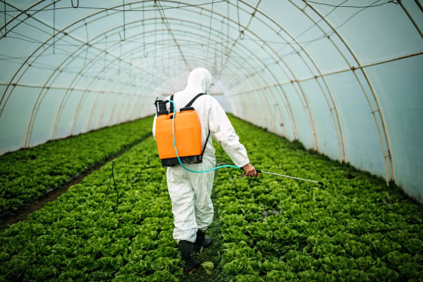 Pest Control Cost in Albany, IN