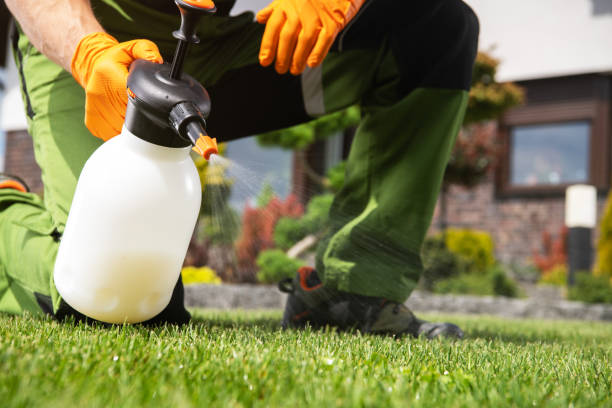 Best Cockroach Control Services  in Albany, IN