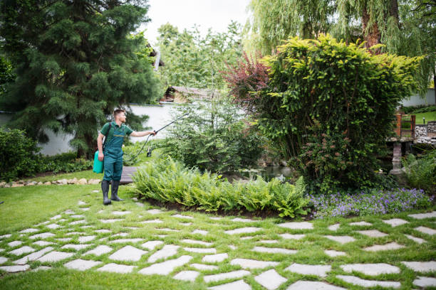 Best Pest Control Near Me  in Albany, IN