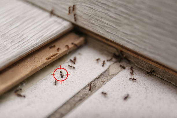 Best Commercial Pest Control Services  in Albany, IN