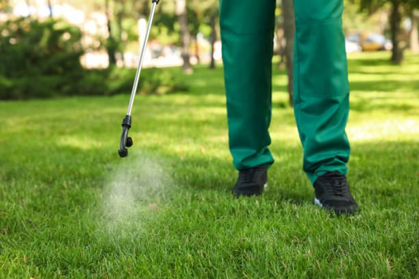 Best Emergency Pest Control  in Albany, IN