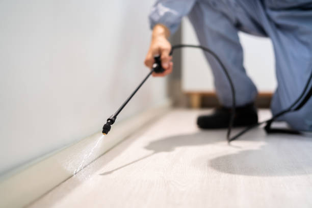 Flea Control Services in Albany, IN