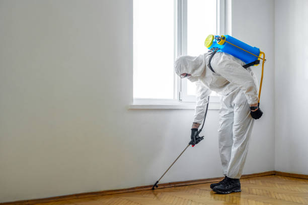 Best Insect Control  in Albany, IN