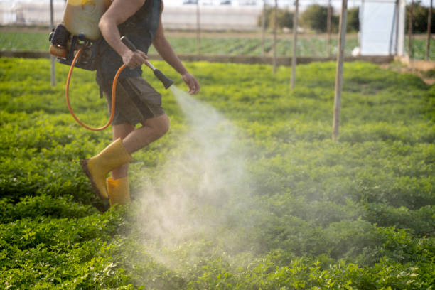 Best Ant Control Services  in Albany, IN