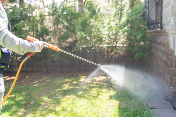 Best Spider Control Near Me  in Albany, IN