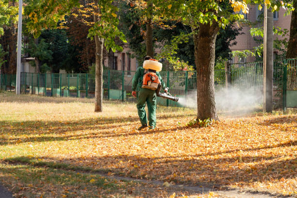 Best Best Pest Control Companies  in Albany, IN