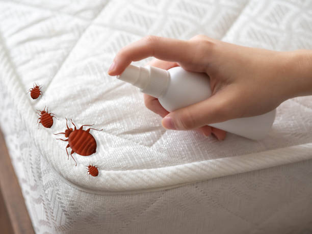 Best Pest Control Near Me  in Albany, IN