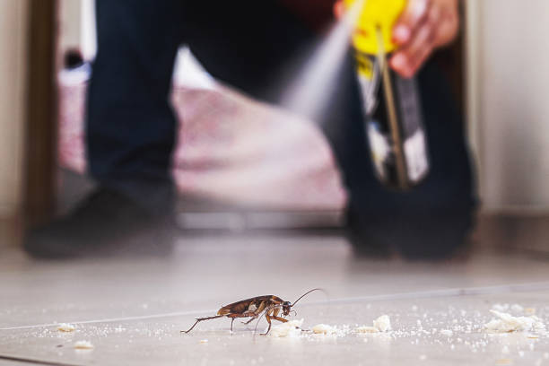 Best Emergency Pest Control  in Albany, IN