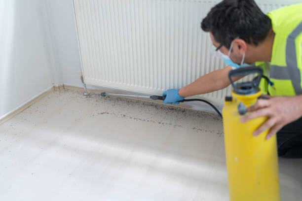  Albany, IN Pest Control Pros
